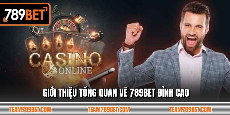 Giới thiệu tổng quan về 789BET đỉnh cao